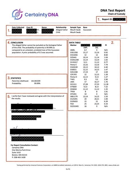 dna test percentage meaning|How To Read Your Paternity DNA Test Results .